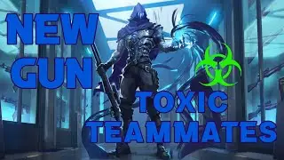 New Gun and Toxic Teammates
