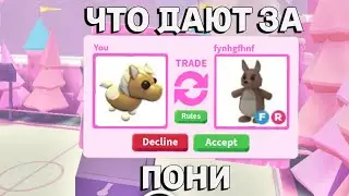 ЧТО ДАЮТ ЗА ПОНИ В АДОПТ МИ ТРЕЙДЫ НА ПОНИ В АДОПТ МИ