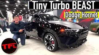The NEW Dodge Hornet GLH is a Teeny, Tiny Turbo Charged Monster!