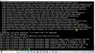 Nodejs and npm,composer install on ubuntu 24.04 | easy solution | Part : 06