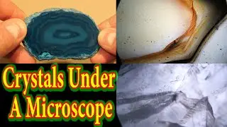 Crystals Under A Microscope