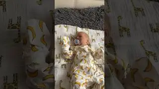 Живой малыш?😍 
