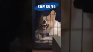 😁Айфон, ЧТО С ЛИЦОМ?🤡