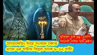 লোডশেডিং নিয়ে সংসদে ক্ষোভ, এত বিদ্যুৎ কই গেল?