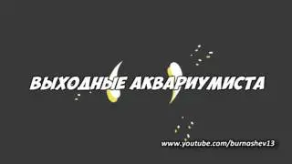Простенький акваконтролер ArduinO