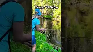 Алена VS Окунь  #fishing #2024 #рыбалка