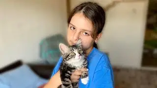 Маленький пушистый котенок получает в подарок важную вещь. Семейная распаковка посылки