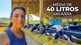 GRANJA RISSO: 135 VACAS, MÉDIA DE 40 LITROS POR DIA EM SISTEMA COMPOST BARN 🇧🇷
