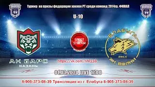 01.02.2024  АК БАРС 2  (Казань) - ВОЛКИ (Елабуга) LIVE 
