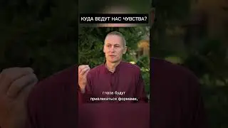 Куда ведут нас чувства? #ачьютадас #Кришна #веды #йогa