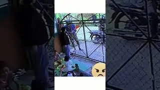 NGERI MODUS PENCULIKAN ANAK terekam cctv 