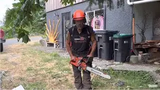 Rare sighting! Small Chainsaw, short bar slashing brush.