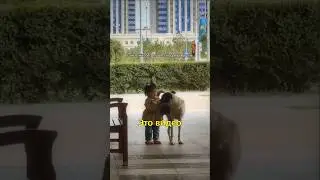 😍Ребенок Обнял Уличную Собаку🩷