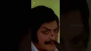 #NTRSrideviHitSongs