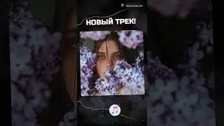 ТЫ МОЯ ЛЕЙЛА - НОВЫЙ ТРЕК УЖЕ В СЕТИ!
