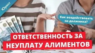 ОТВЕТСТВЕННОСТЬ ЗА НЕУПЛАТУ АЛИМЕНТОВ