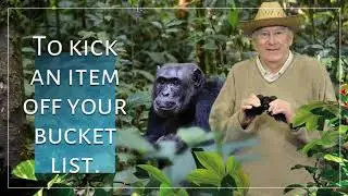 Dallas Green Screen Photo Booths