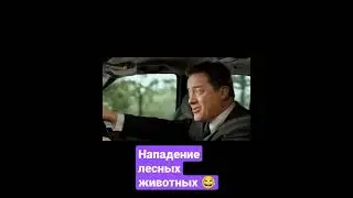 Фильм: Месть пушистых 2006. 