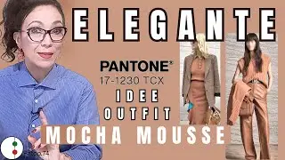 IMMEDIATELY ELEGANT Pantone MOCHA MOUSSE 2025 HOW TO MATCH IT to be CHIC Patoo74 clothing today