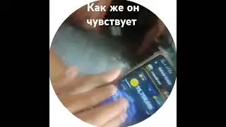 КАК ЖЕ ОН ЧУВСТВУЕТ