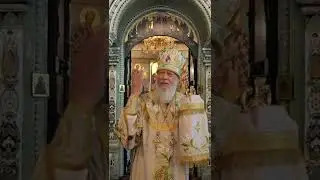 "Образование и наука не устранили главных проблем человечества" (Часть 2)