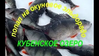 Попал на раздачу окуня.Кубенское озеро.