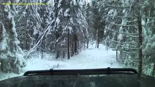 Лесная дорожка