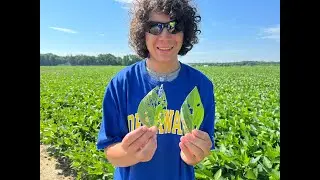 SEEDING A PLANT SCIENCE DEGREE