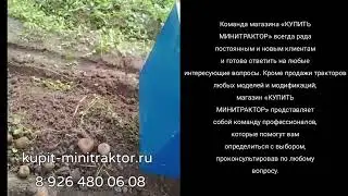 Транспортерная копалка в работе