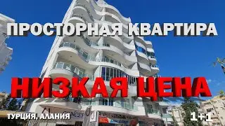 БОЛЬШАЯ 1+1 квартира в Алании в самом центре НЕДВИЖИМОСТЬ в Турции на берегу моря