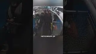 Всего существует 3 типа бесконтактных ДТП #шумский