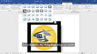GAT Estilos de imagen