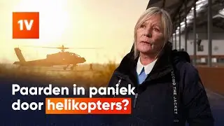 Veehouders bezorgd over laagvliegplannen Defensie