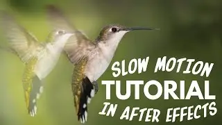 TimeWarp Tutorial  | Slow Motion Footage in After Effects