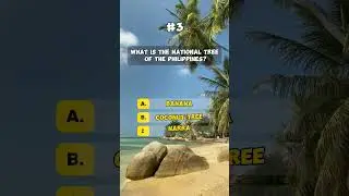 Comment how many did you get correct? #shorts #quiz #quiztime #trivia