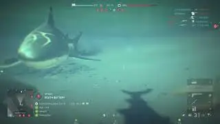 NAPALA ME AJKULA 😮😮😮 OMG 🤣 #BattlefieldV #shark #funny #PS5 #ExYu #BALKAN