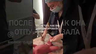 Лотосовые роды 