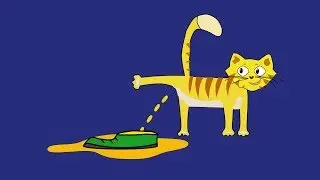 Why does a cat shit?