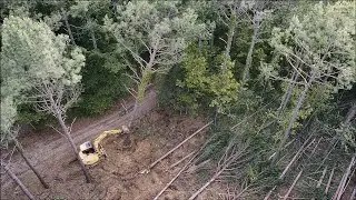 IT HAS BEGUN! Starting clearing 2 acres for my shop - Day 38