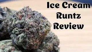 Ice Cream Runtz Strain Review