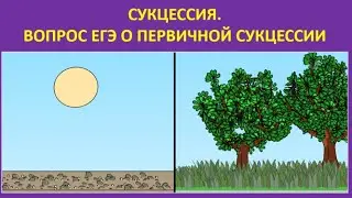 12. Сукцессия. Вопрос ЕГЭ о первичной сукцессии