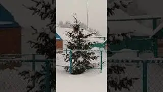 🌨️⛄🌲ПРИВЕТ ИЗ ДЕРЕВНИ🥰