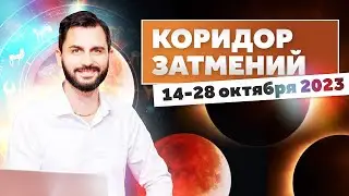 Коридор затмений 14-28 октября 2023 / Академия Джатака