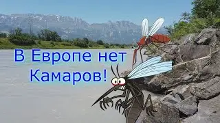 Вкусный воздух,так бывает!?