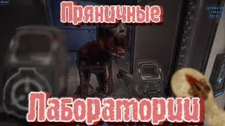 Пряничные Лаборатории | SCP:SL