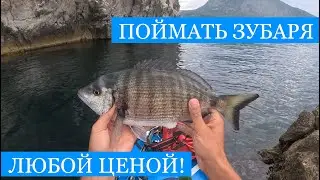 Как поймать ЗУБАРЯ?? Крым в августе! Снасти и наживка, Рыбалка и охота, Ночёвка и готовка на сапе!