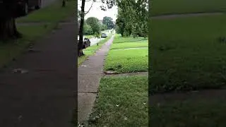Gus Learns to Ride a Bike