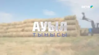 Ауыл тынысы