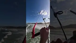 Left over clip from the other day
