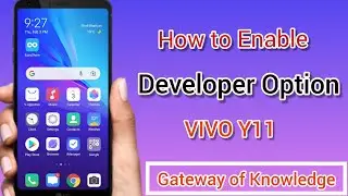 How to Enable Developer Option in VIVO Y11 | Developer Setting Vivo Y11 | Gateway of knowledge 2022